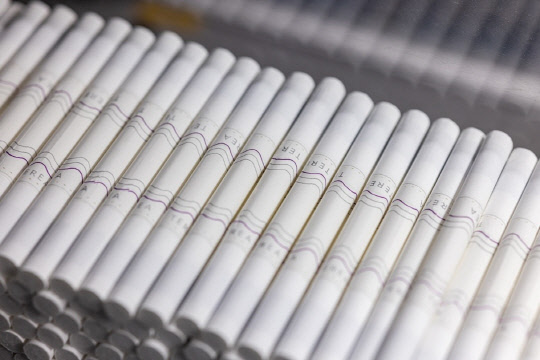 필립모리스 양산공장, 일루마 전용 담배 `테리아` 본격 생산